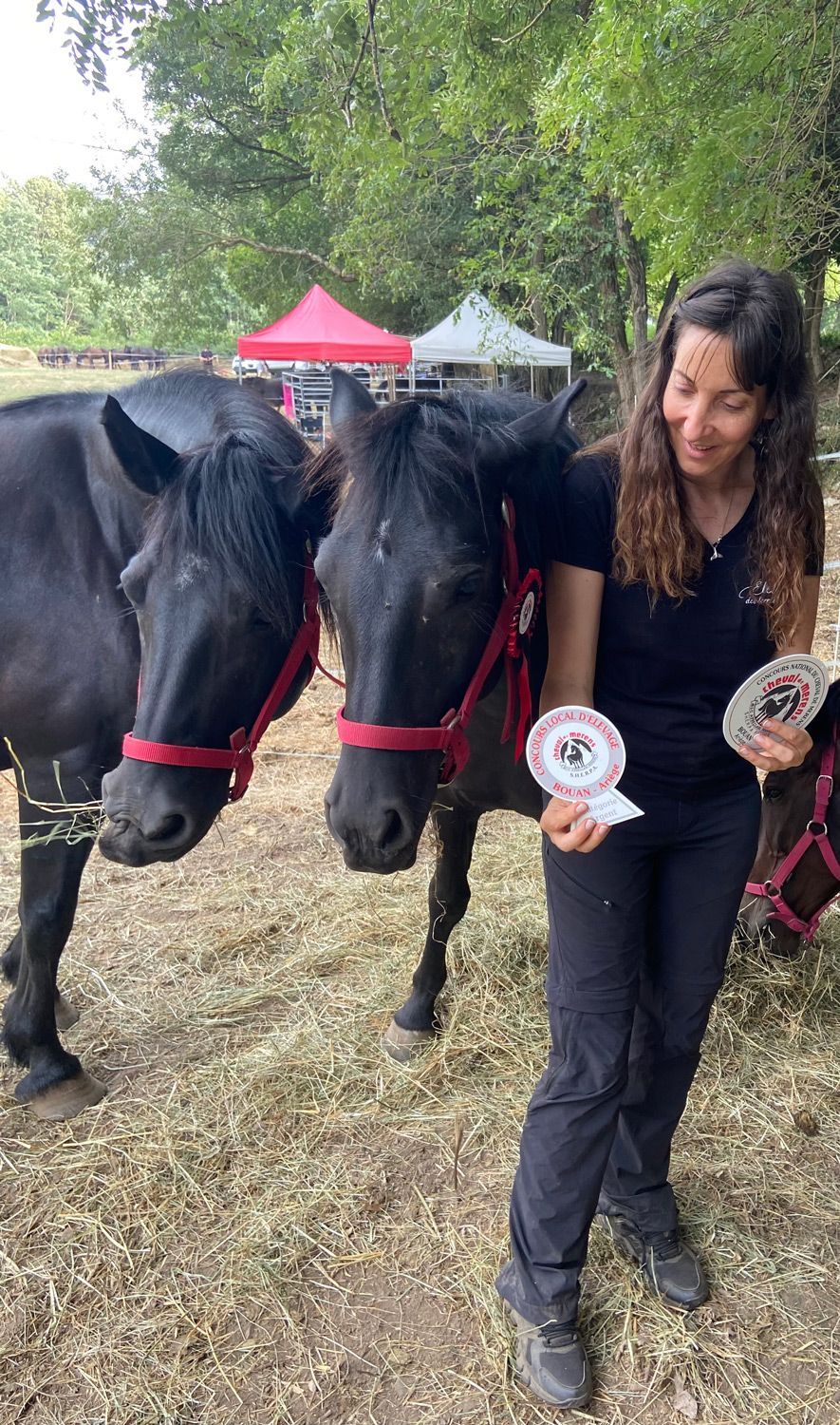 Une femme avec deux chevaux noirs, tenant des rubans, probablement lors d'un événement. En extérieur, près d'arbres, avec des tentes en arrière-plan.