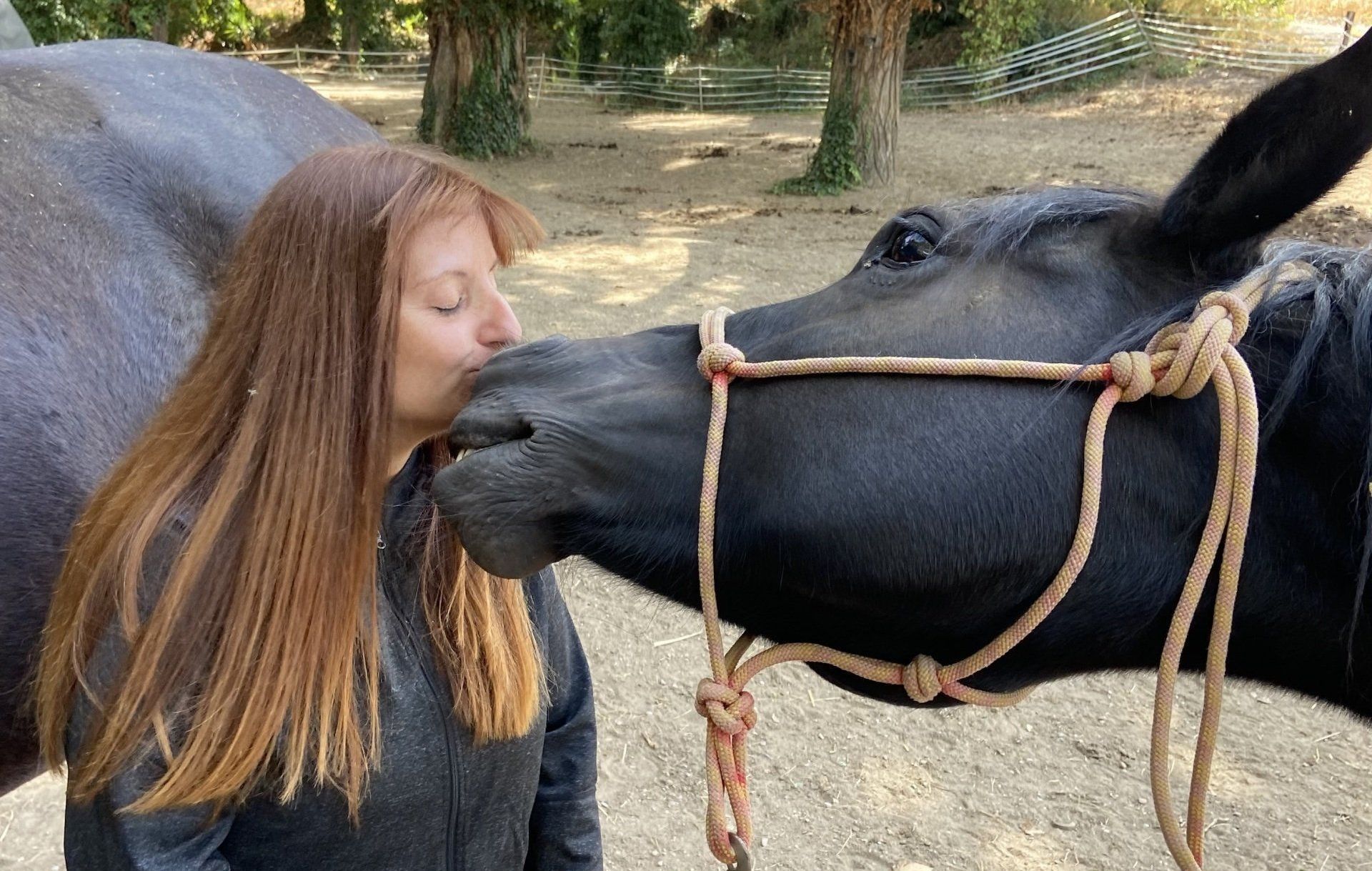 Une femme embrasse un cheval noir en extérieur ; tous deux sont affectueux.