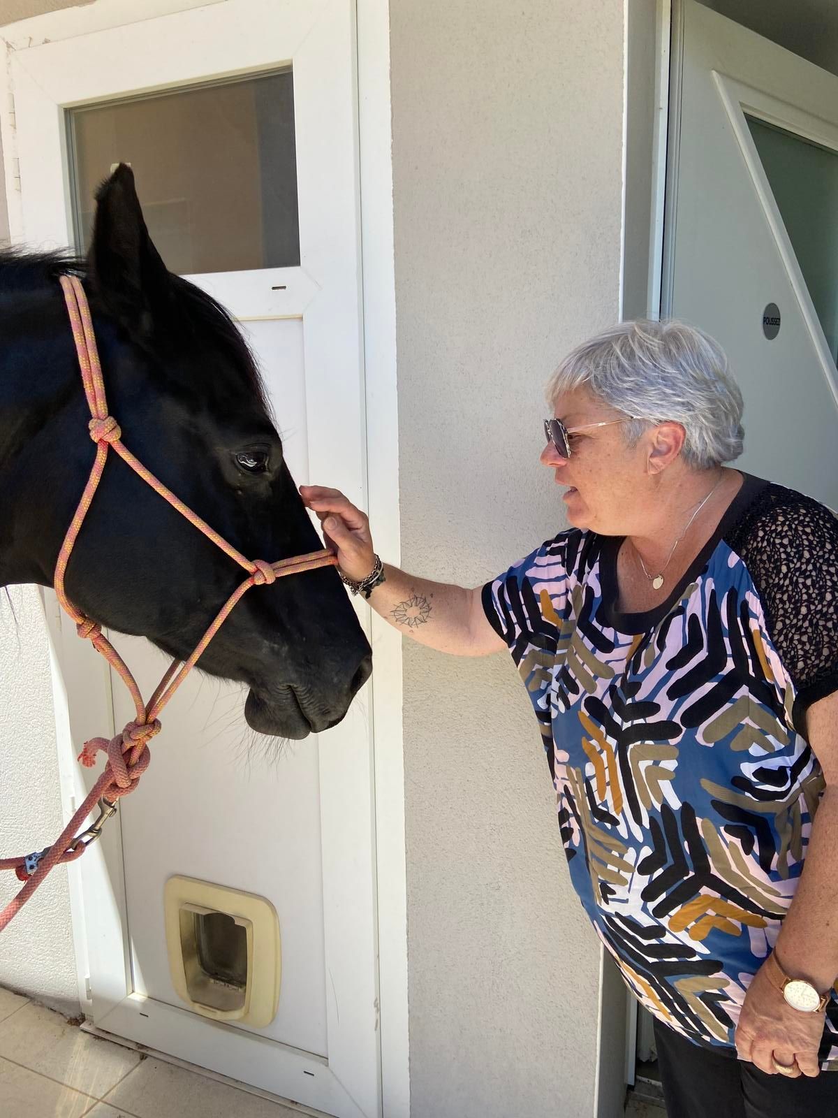 Une femme caresse un cheval noir portant un licol en corde, debout près d'une porte blanche.