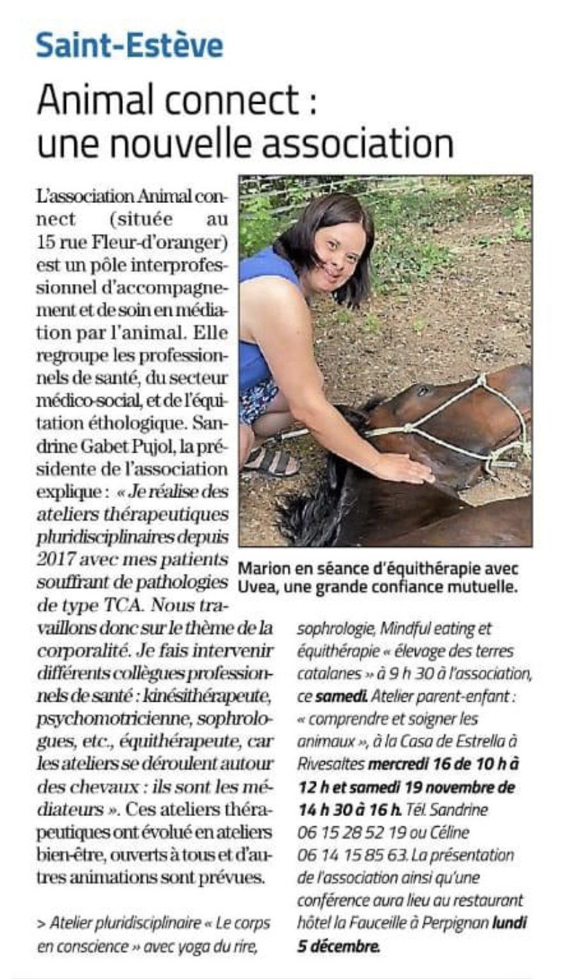 Femme caressant un cheval en extérieur. Texte : « Animal connect : une nouvelle association ».