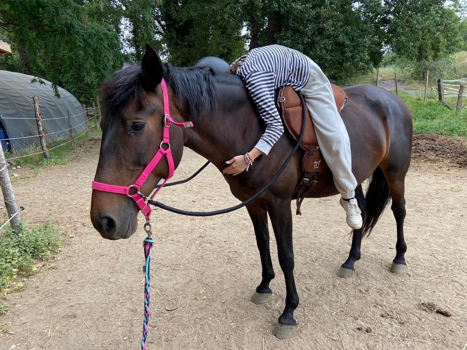 Une personne affalée sur un cheval noir avec un licol et une selle roses. À l'extérieur, sur un chemin de gravier.