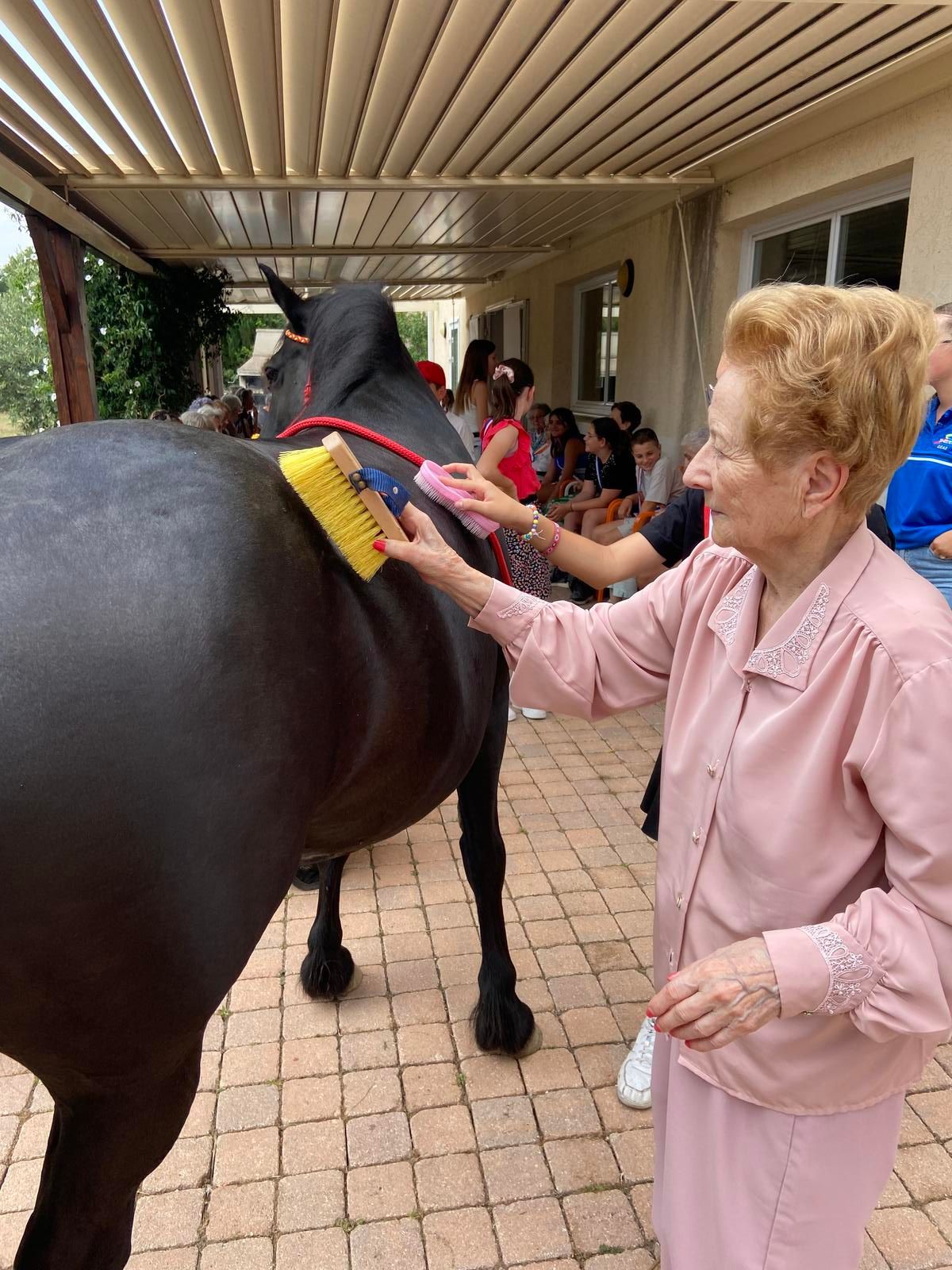 Une femme brosse un cheval noir à l'extérieur, sous un patio couvert ; des enfants regardent.