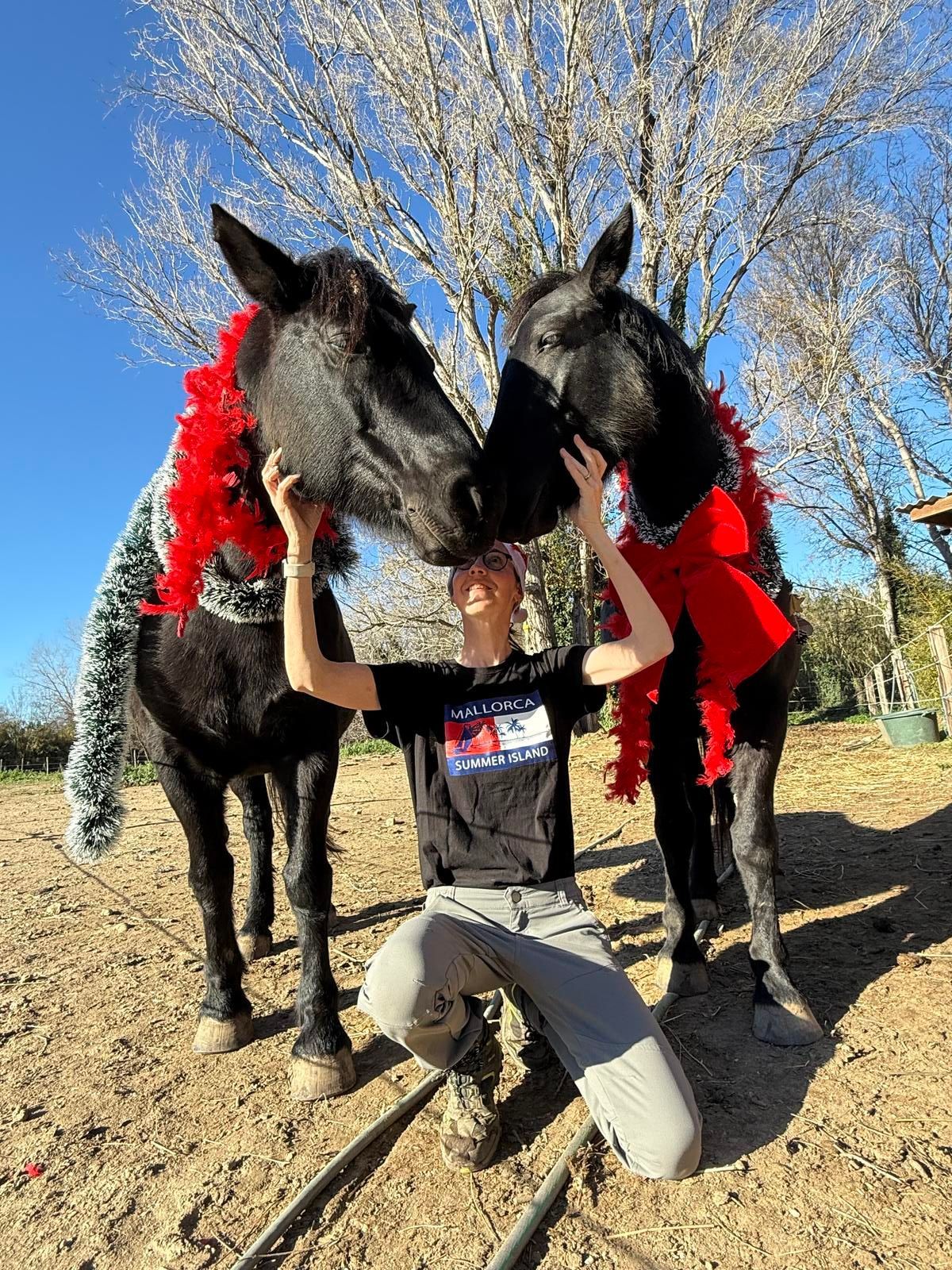 Une personne est agenouillée entre deux chevaux noirs, chacun orné de guirlandes rouges et blanches, leurs nez se touchant. Cadre extérieur ensoleillé.