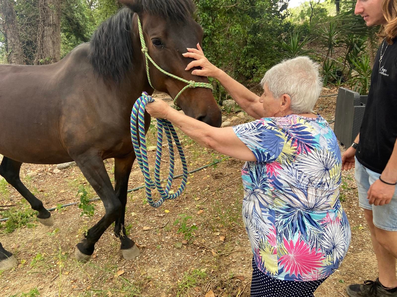 Une personne caresse un cheval brun foncé en tenant son licol à l'extérieur. Une autre personne se tient à côté d'elle.