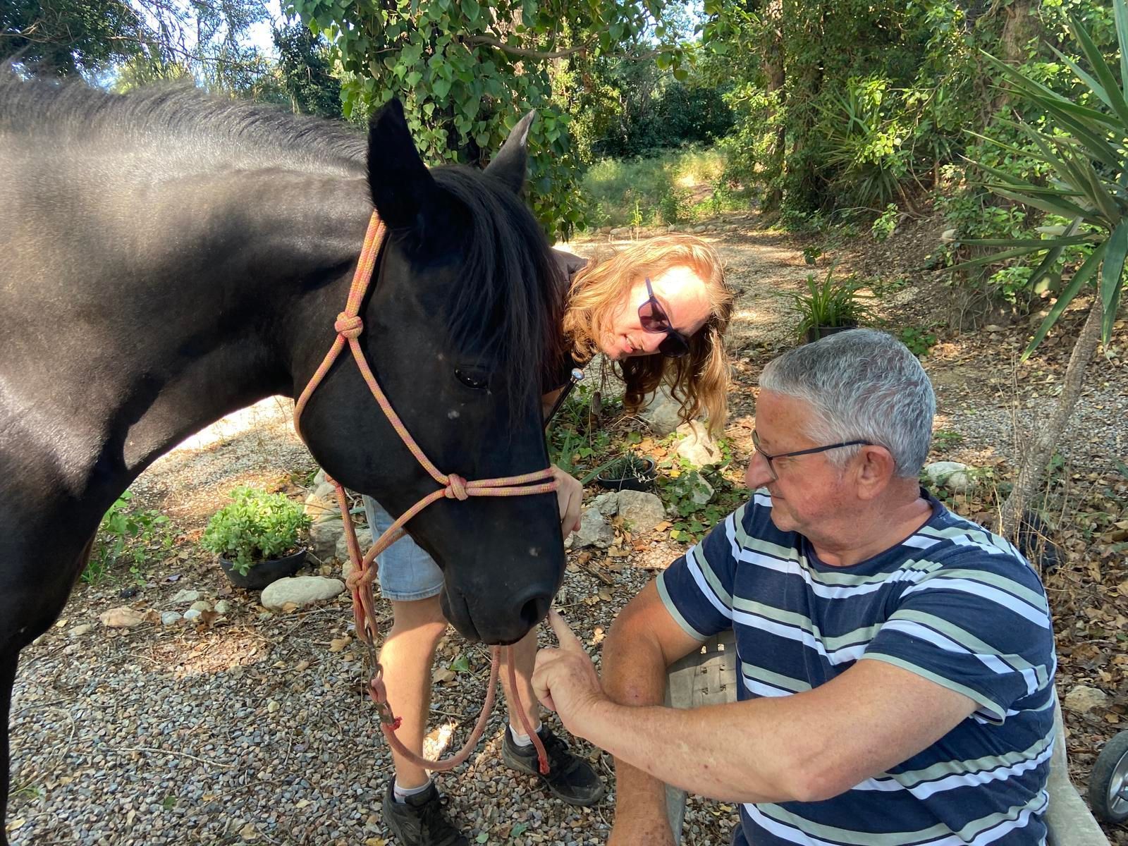 Un cheval noir est caressé par une personne en chemise rayée ; une autre personne se trouve à proximité. Le décor est extérieur et verdoyant.