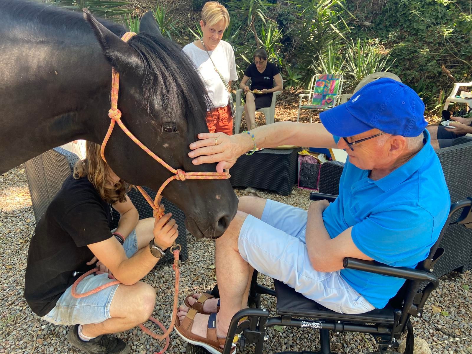 Un homme en fauteuil roulant caresse un cheval noir ; une personne l’aide à proximité. D’autres personnes sont visibles à l’extérieur, en arrière-plan.
