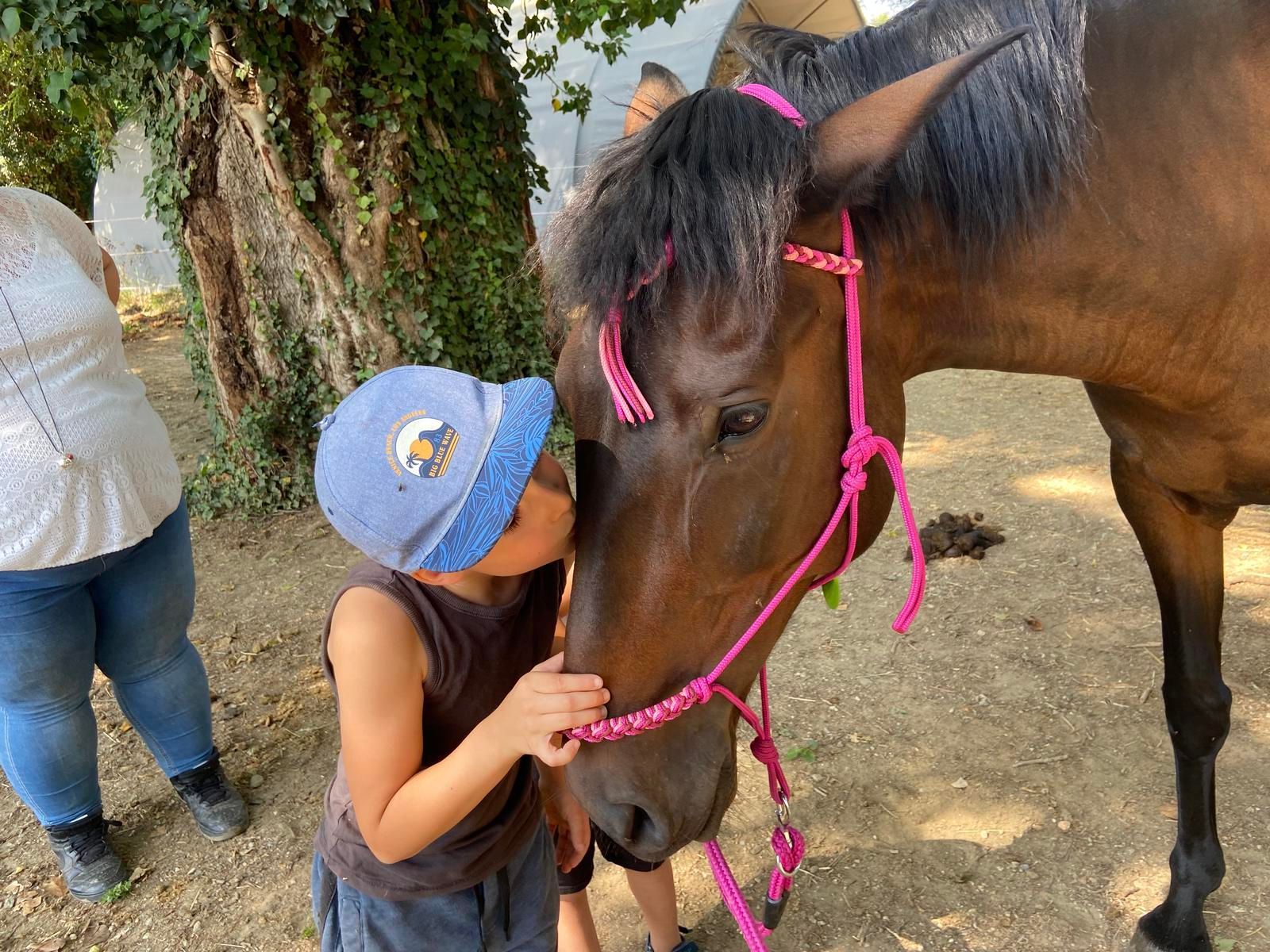 Un garçon coiffé d'un chapeau bleu embrasse un cheval brun portant un licol rose ; décor extérieur avec des personnes et un arbre.