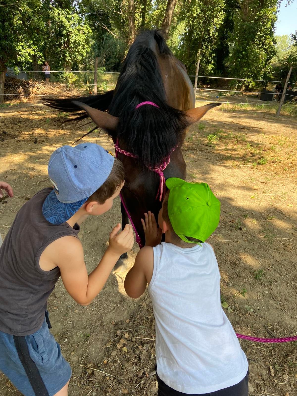Deux enfants caressent la tête d'un cheval noir, à l'extérieur. Le cheval a un bridon rose.