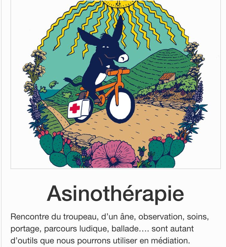 Un âne à vélo avec une trousse de premiers secours, représentant « Asinothérapie ». La scène comprend un paysage naturel et un ciel ensoleillé.