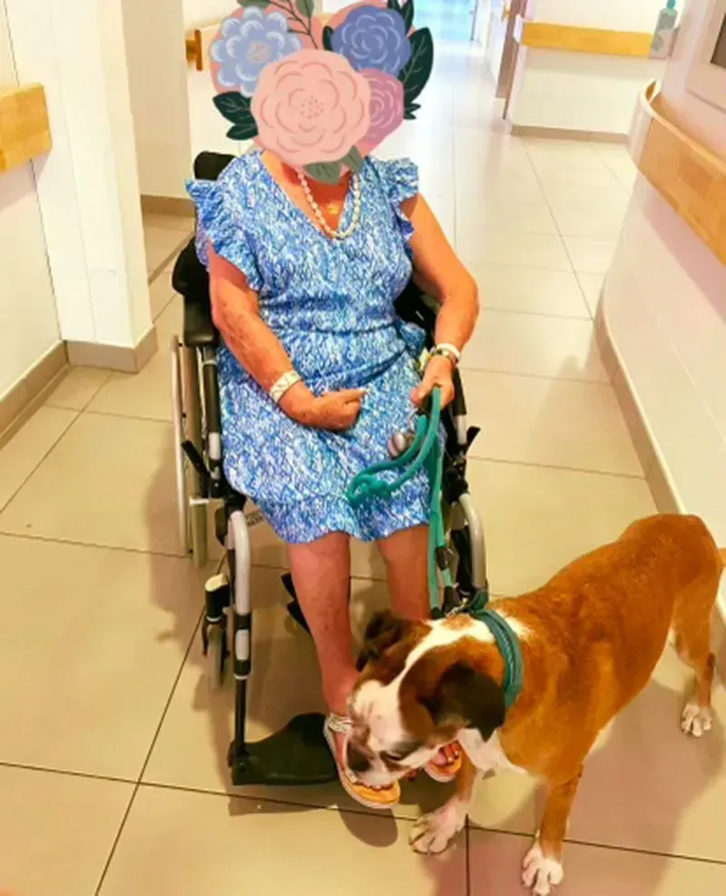 Une femme en fauteuil roulant avec son boxer dans un couloir bien éclairé. Le chien regarde ses pieds.