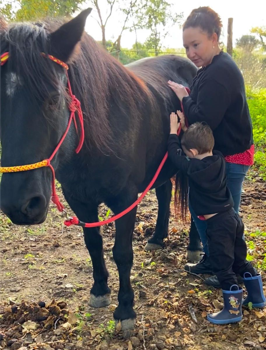 Une femme et un petit enfant caressent un cheval noir à l'extérieur ; l'enfant porte des bottes bleues.