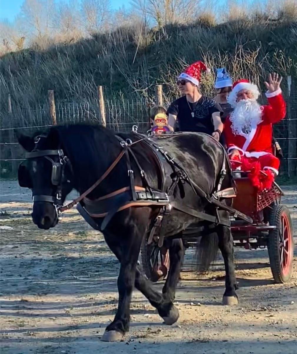 Un cheval noir tire une charrette rouge où une personne déguisée en Père Noël fait signe. Une deuxième personne conduit.