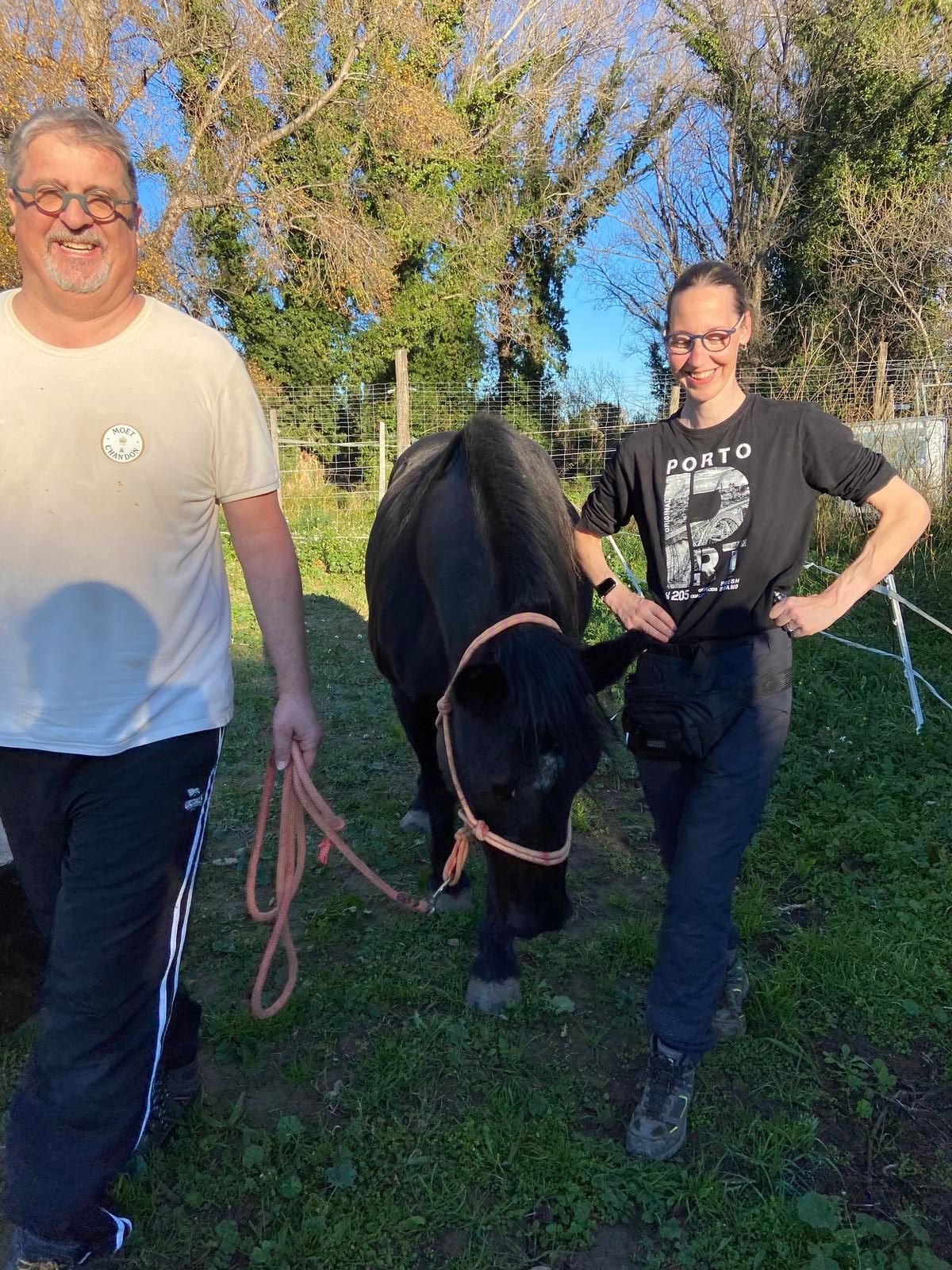Un homme et une personne avec une vache noire tenue en laisse à l'extérieur par une journée ensoleillée.