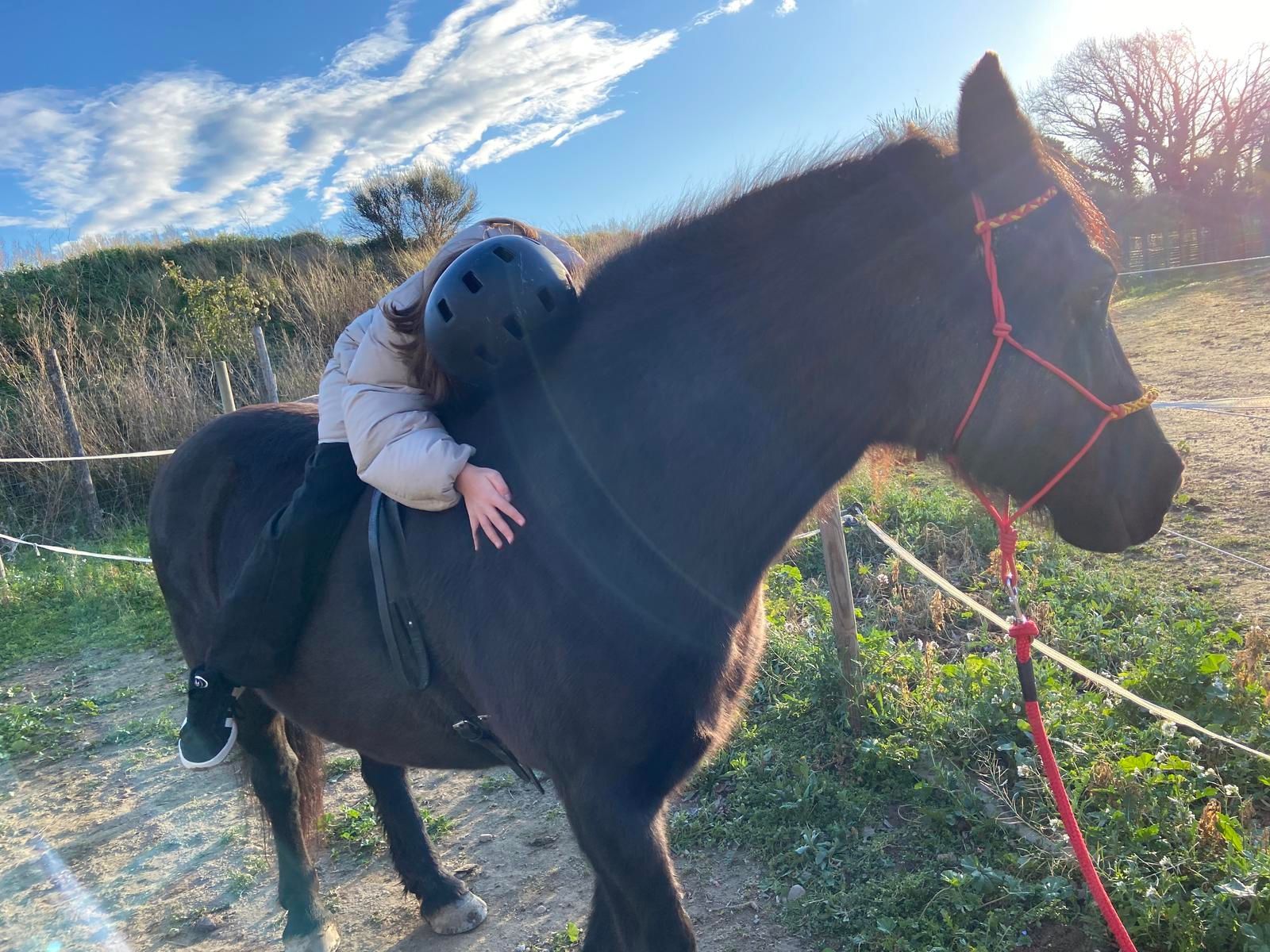 Une personne portant un casque enlace un cheval noir, en extérieur par une journée ensoleillée.