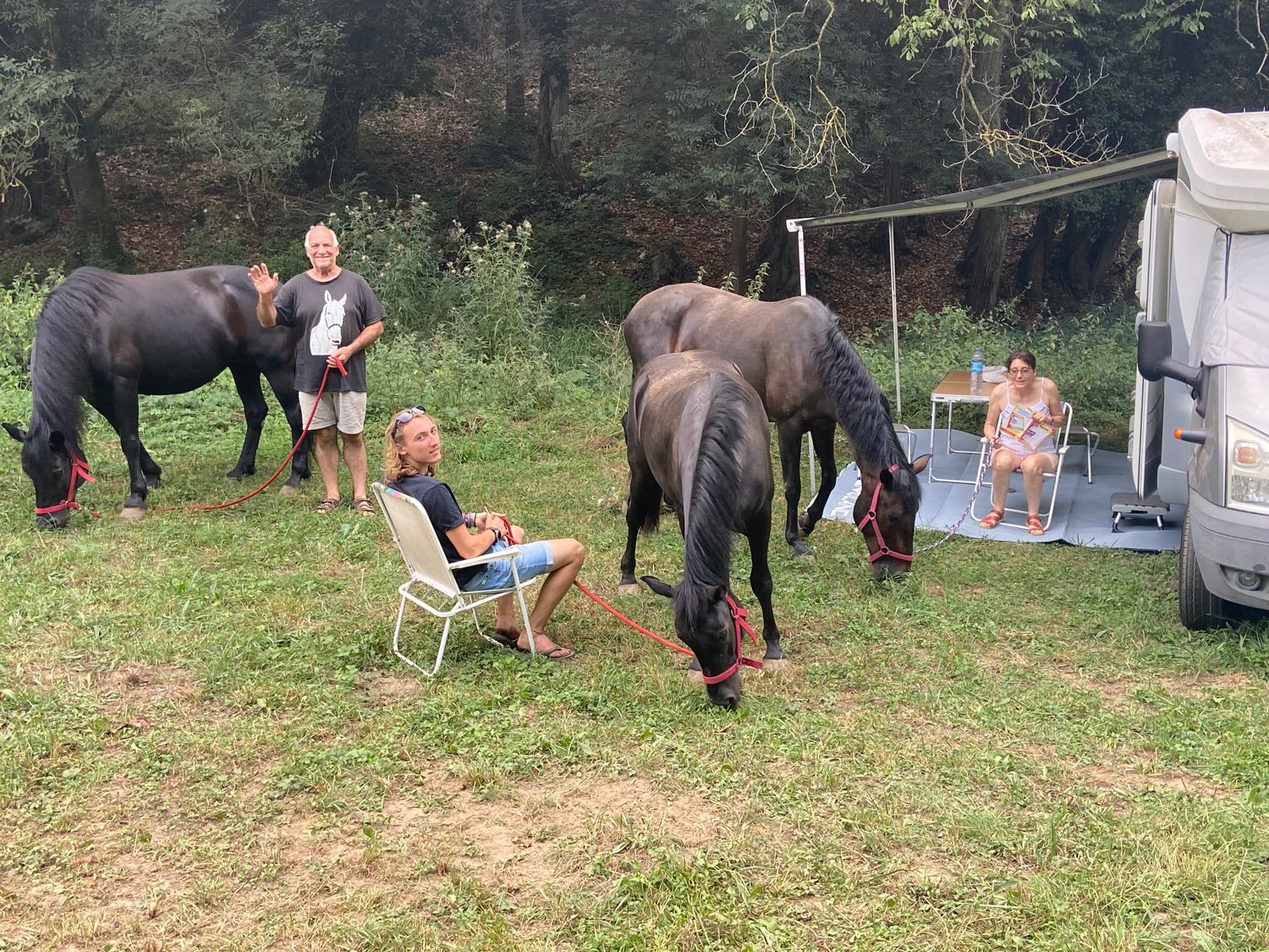 Des personnes avec leurs chevaux se trouvent près d'une caravane, dans une zone herbeuse. Certains se détendent. Les chevaux portent des licols rouges.
