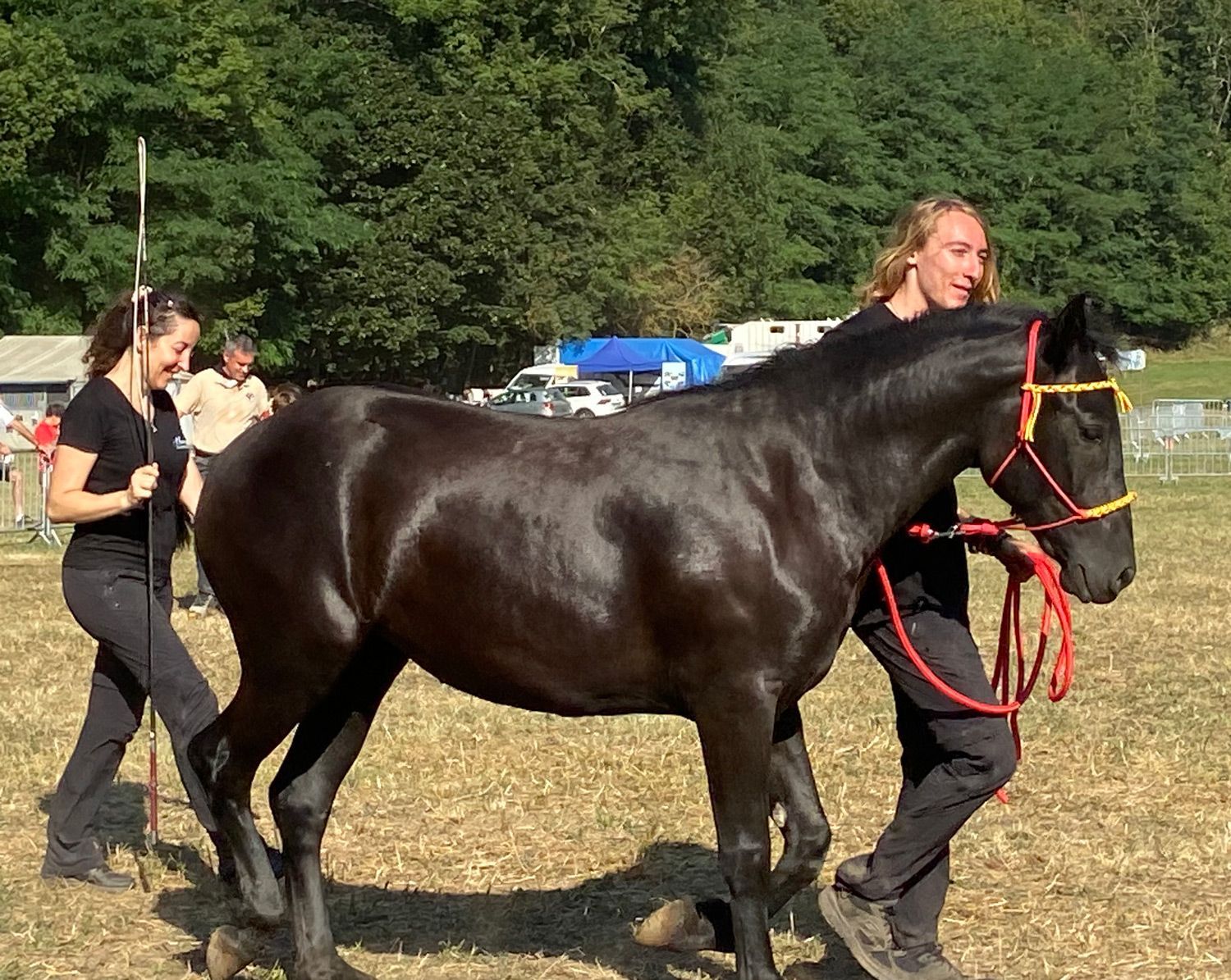 Par une journée ensoleillée, deux personnes mènent un cheval noir luisant par une corde rouge dans un champ herbeux.