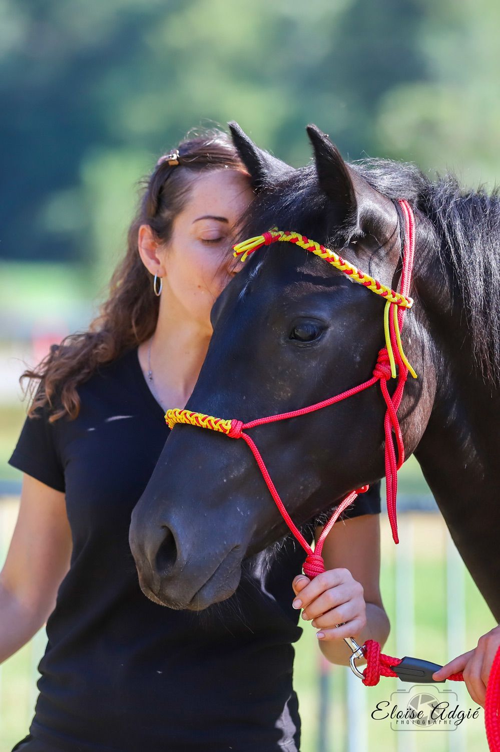 Une femme embrasse un cheval noir portant un licol rouge et jaune, en extérieur.
