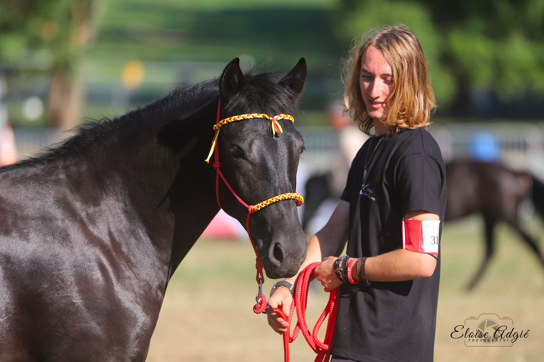 Un cheval noir portant un licol jaune est tenu par une personne aux longs cheveux blonds. En extérieur, sous un soleil radieux.