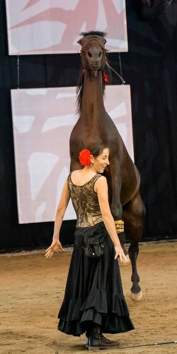 Une femme en robe noire fait un numéro avec un cheval dans un manège. Le cheval se cabre au rythme des gestes de la femme.