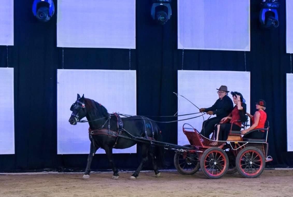 Un cheval noir tire une calèche rouge où se trouvent trois personnes. Ils sont dans une salle de spectacle.