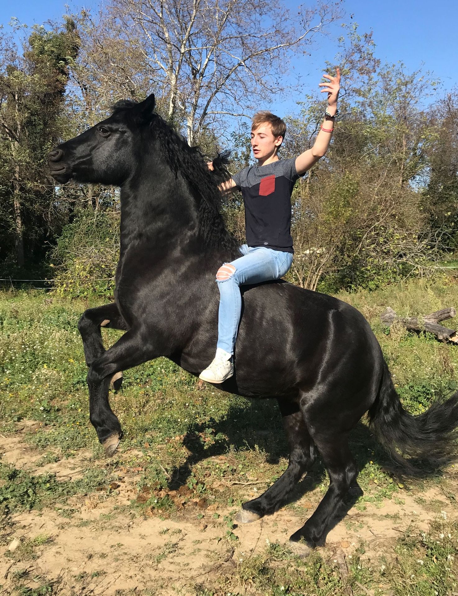 Homme sur un cheval noir cabré, les bras levés, en extérieur.