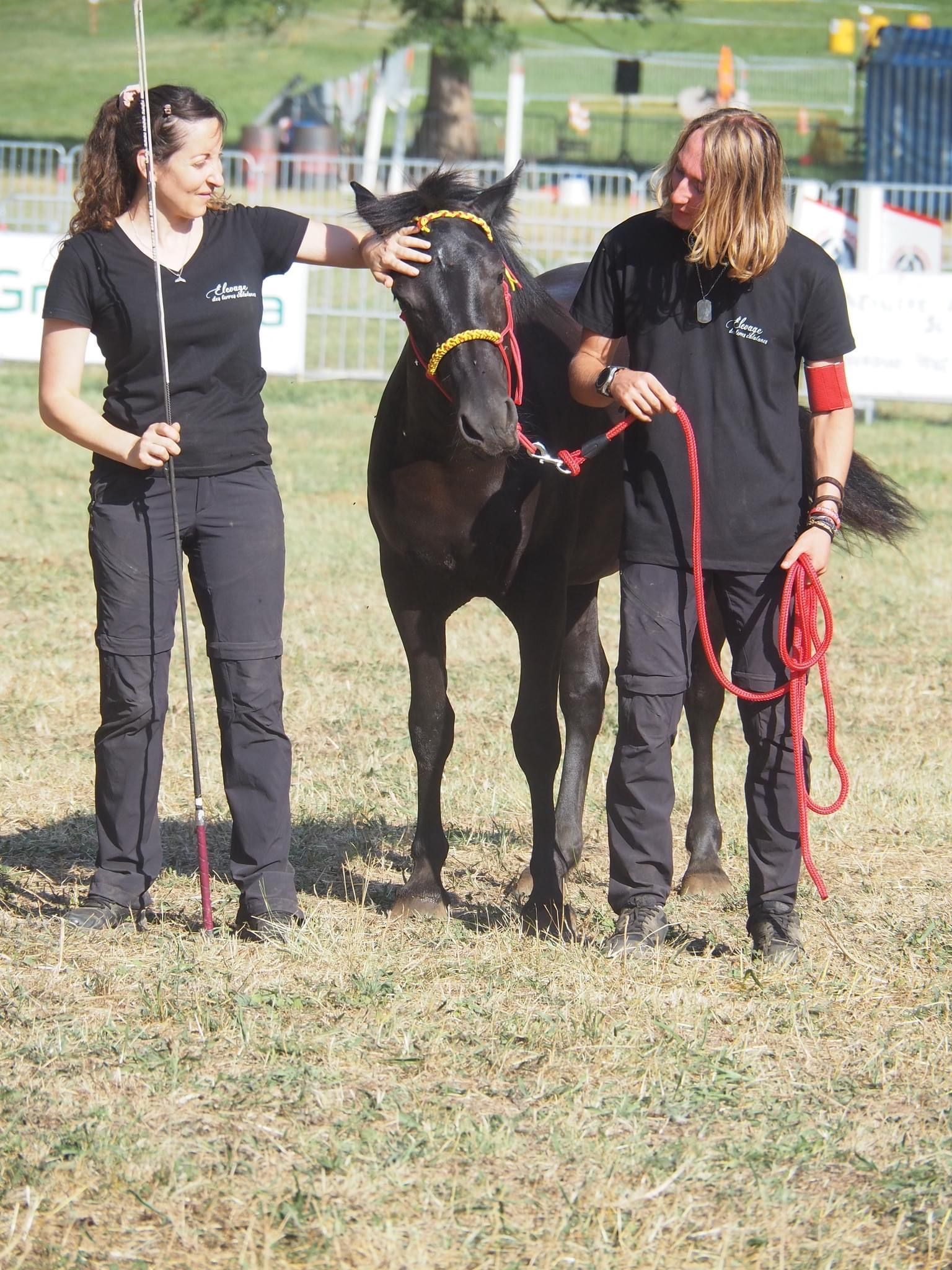 Deux personnes caressent un cheval noir dans un champ herbeux ; toutes deux portent des chemises et des pantalons noirs.