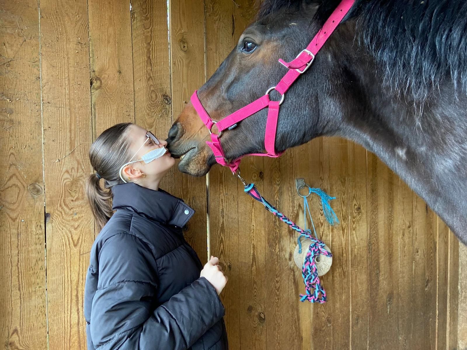 Une femme en veste noire embrasse un cheval brun portant un licol rose dans un box en bois.