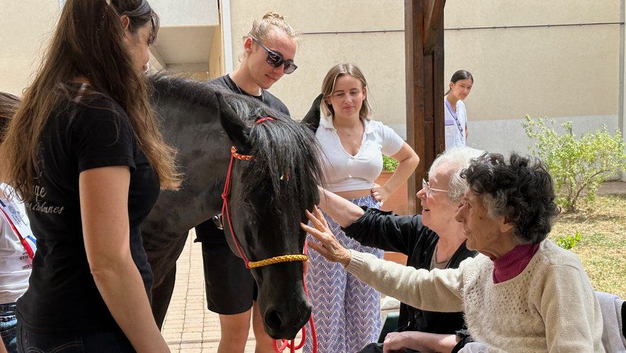 Des personnes caressent un cheval noir en plein air. Plusieurs autres les observent. Des femmes âgées caressent le visage du cheval en souriant.