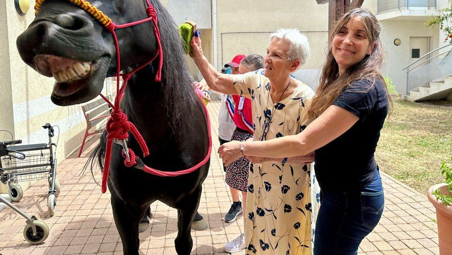 Une femme brosse un cheval noir ; une femme plus âgée et une autre personne sourient. À l’extérieur, sur un chemin de briques.