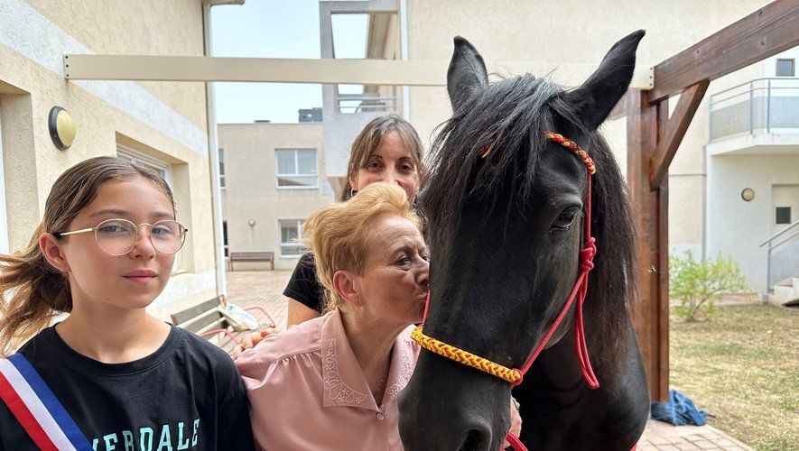 Trois personnes et un cheval noir en extérieur. Une femme embrasse le cheval ; deux autres personnes observent. Temps ensoleillé.