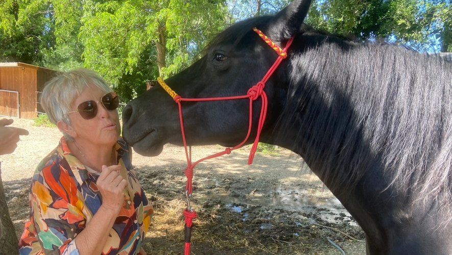 Femme embrassant un cheval noir portant un licol rouge ; en extérieur, sous un soleil radieux.