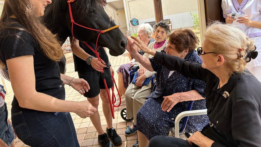 Des personnes âgées caressent un cheval noir en plein air. D'autres les regardent en souriant.