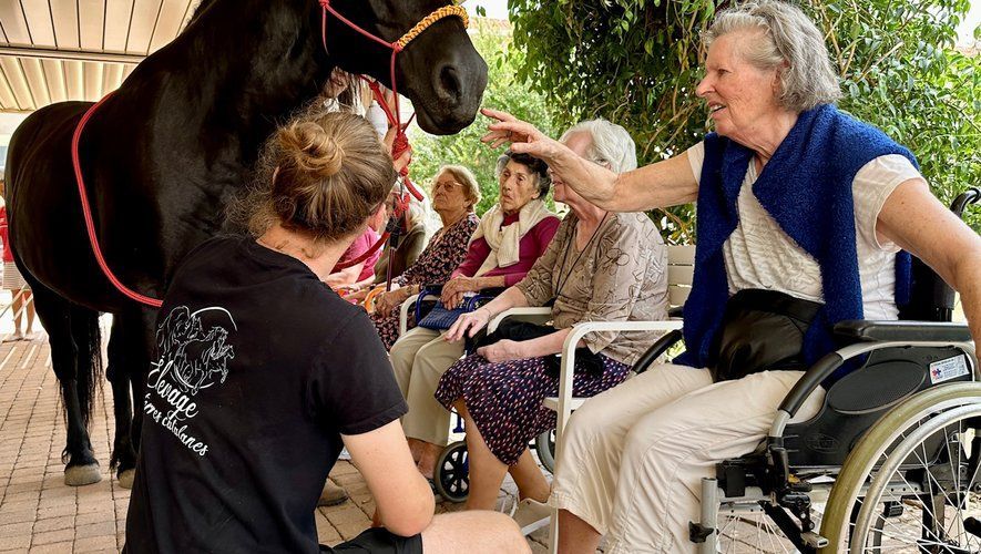 Des personnes âgées en fauteuil roulant et sur des chaises caressent un cheval lors d'un événement en plein air.