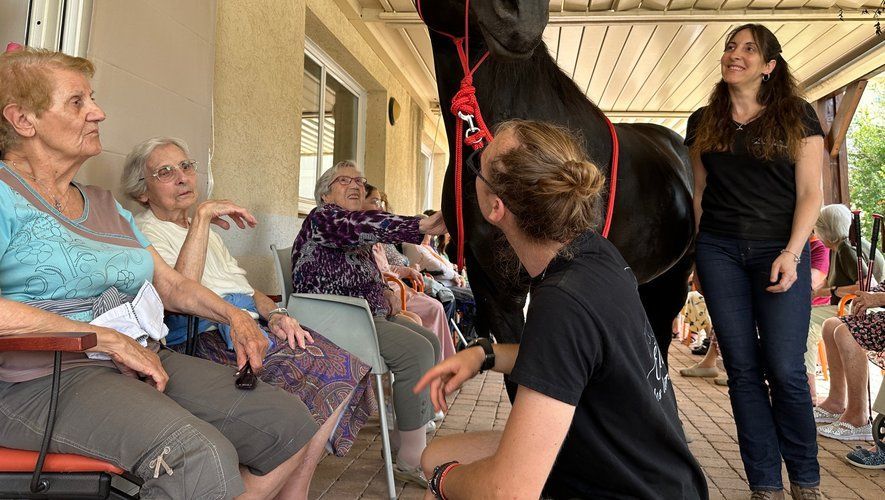 Des personnes âgées, assises sur une véranda, interagissent avec un cheval ; deux personnes les assistent.