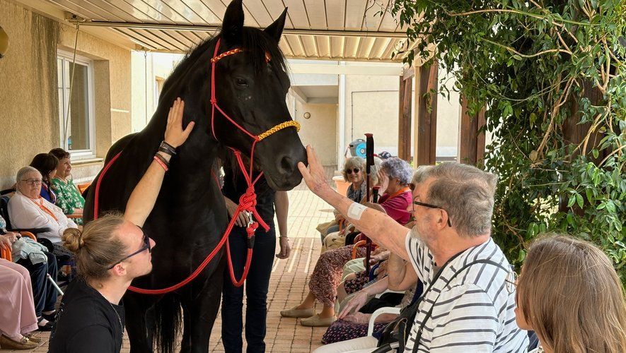 Un cheval noir interagit avec les résidents d'une maison de retraite. Ces derniers le caressent et le touchent en souriant.