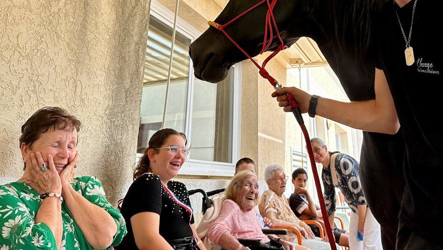 Des personnes assises sur un porche, le visage surpris, réagissent à un cheval noir tenu par un homme.