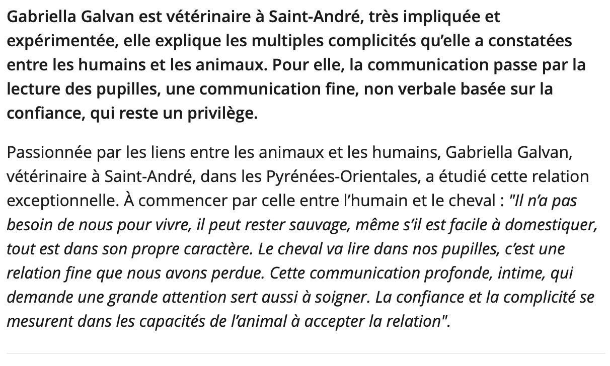 Texte concernant la vétérinaire Gabriella Galvan, qui aborde la communication entre l'animal et l'homme et l'importance de la confiance et de la compréhension.