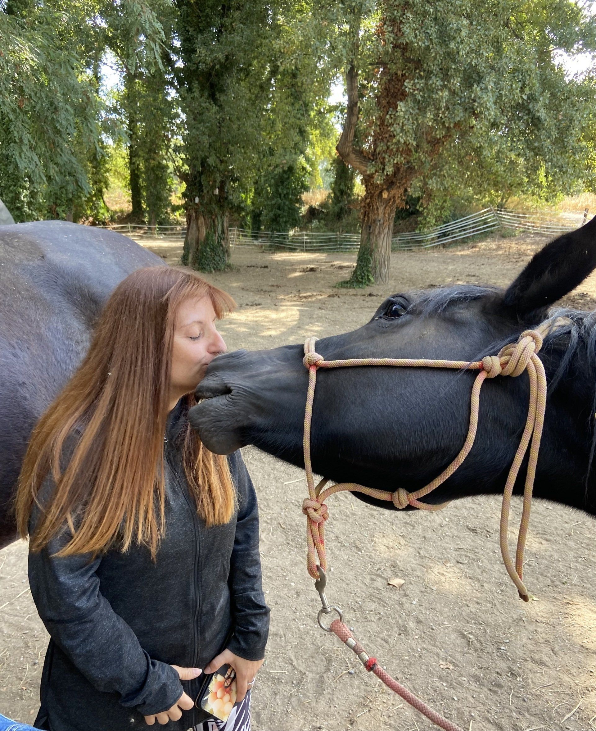 Une femme embrasse un âne noir dans un décor extérieur arboré.