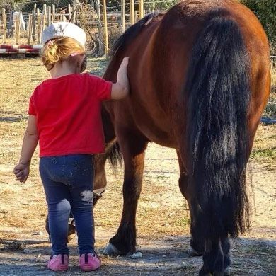 Un enfant en chemise rouge caresse le flanc d'un cheval brun, en extérieur.