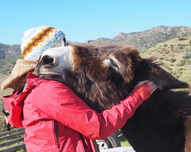 Une personne en veste rouge enlace un âne brun à l'extérieur, avec des montagnes en arrière-plan.