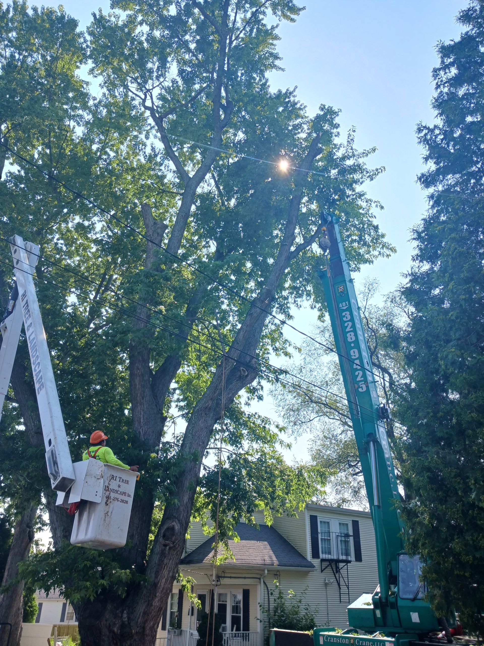A man in a bucket is cutting a tree in front of a house