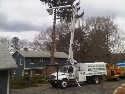 A tree service truck is parked in front of a house