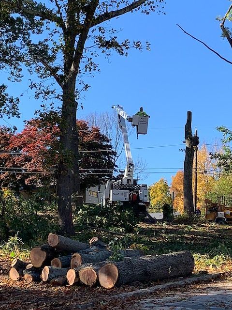 A bucket truck is cutting down a tree in a yard