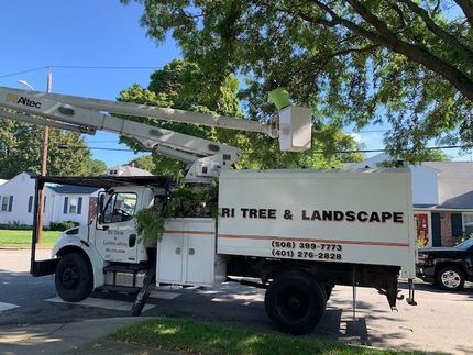 A tree and landscape truck is parked on the side of the road