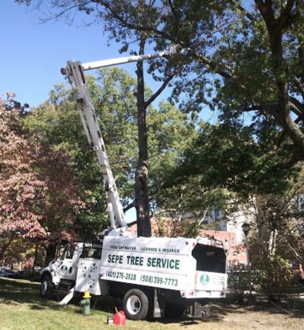 A sepe tree service truck is parked next to a tree