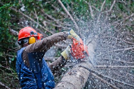 A man is cutting a tree branch with a chainsaw.