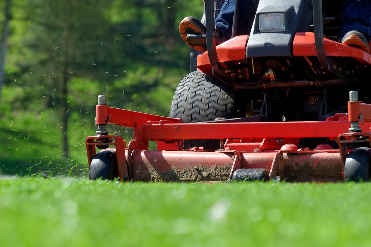Commercial Lawn Care & Mowing