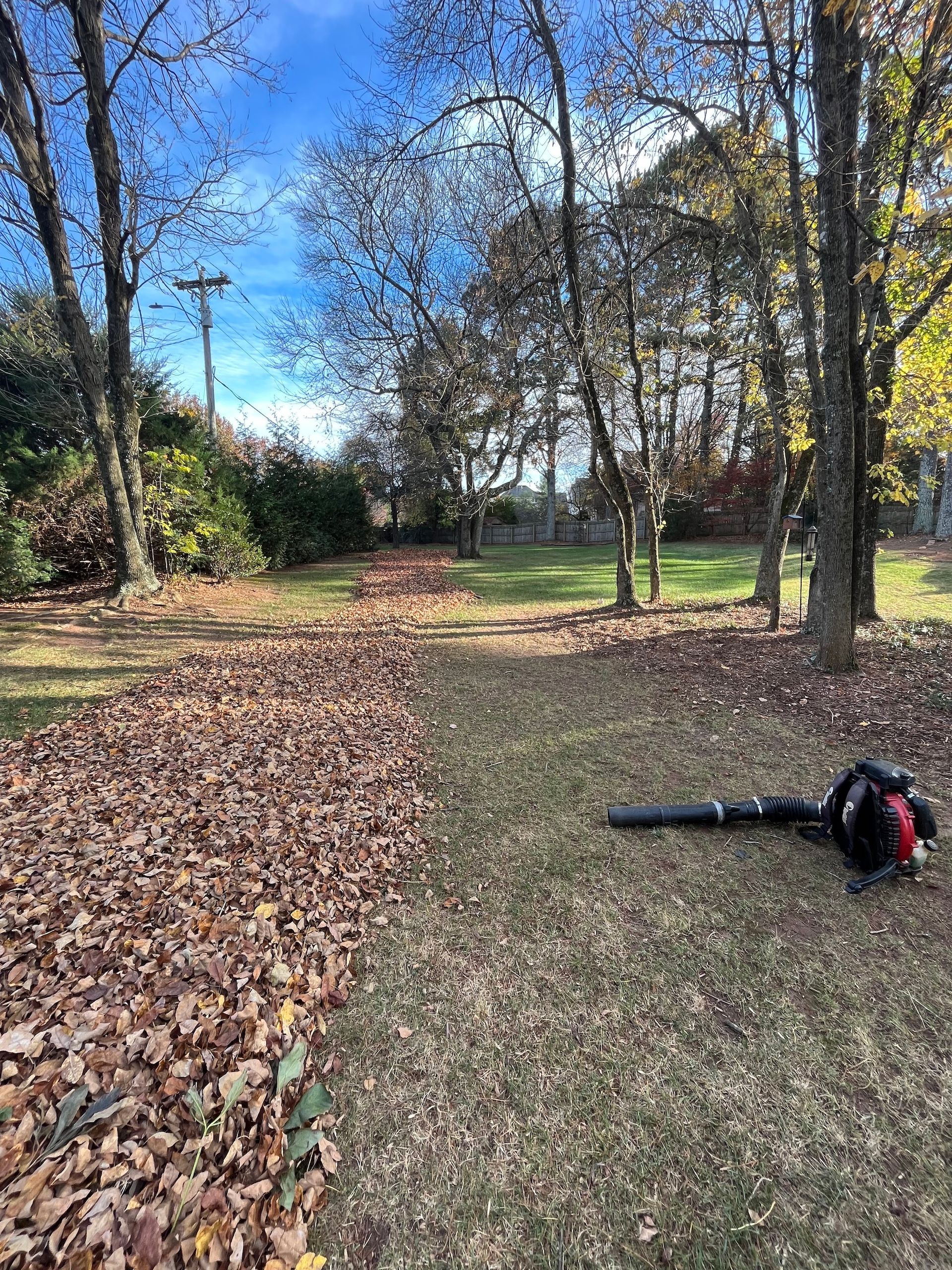 Property Clean Ups