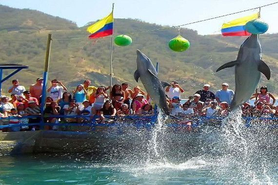 Dos delfines saltan fuera del agua frente a una multitud en un espectáculo al aire libre con banderas colombianas de fondo.