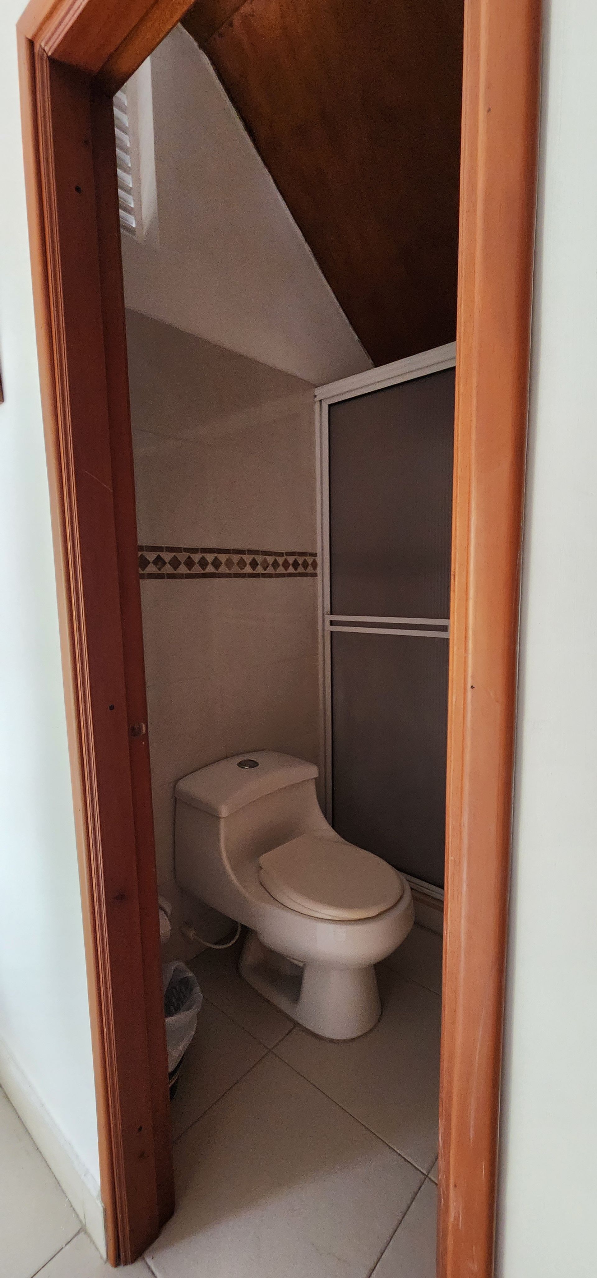 En un pequeño baño, visible a través del marco de una puerta de madera, se ve un inodoro blanco, con una cabina de ducha gris al fondo.
